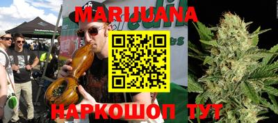 гидропоника Будённовск