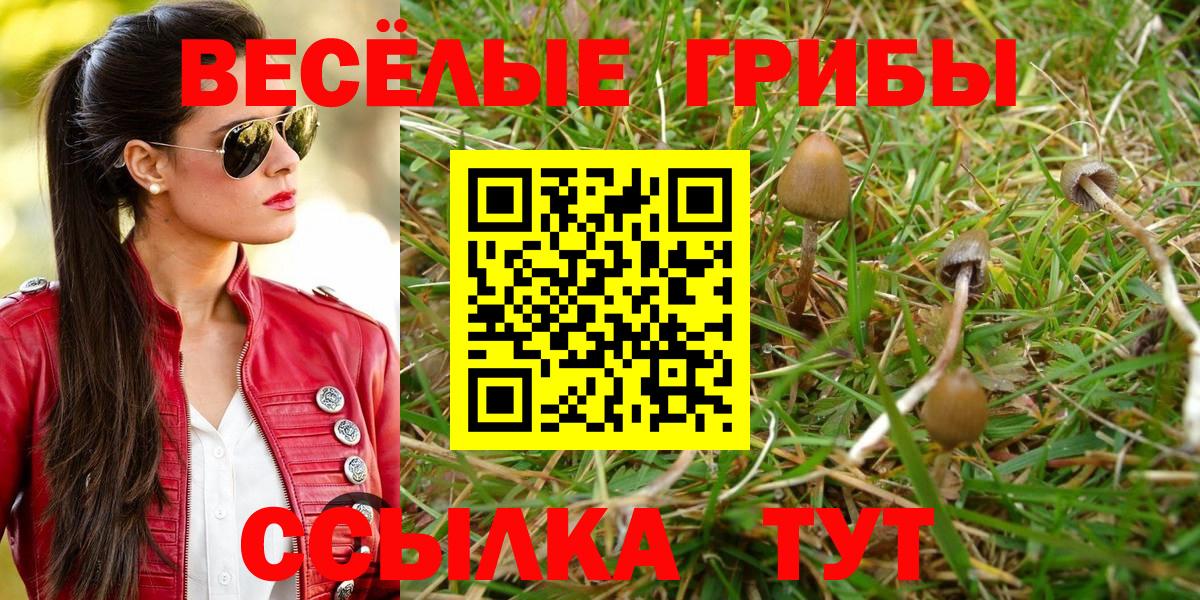 Псилоцибиновые грибы мицелий Татарск